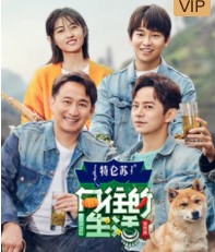向往的生活第三季