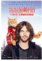 流浪猫鲍勃