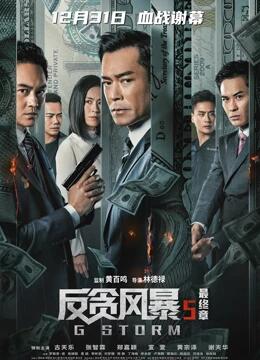 反贪风暴5（国语）